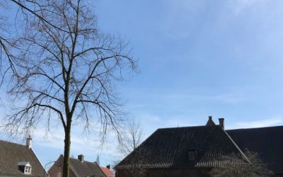 Helvoirt en Van Gogh ontdekken met een gids?