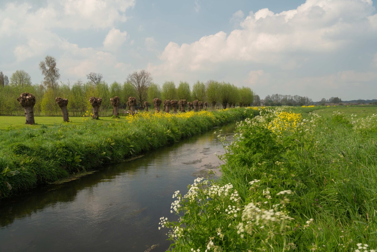 Activiteiten_wandelroute Helvoirts-Broek